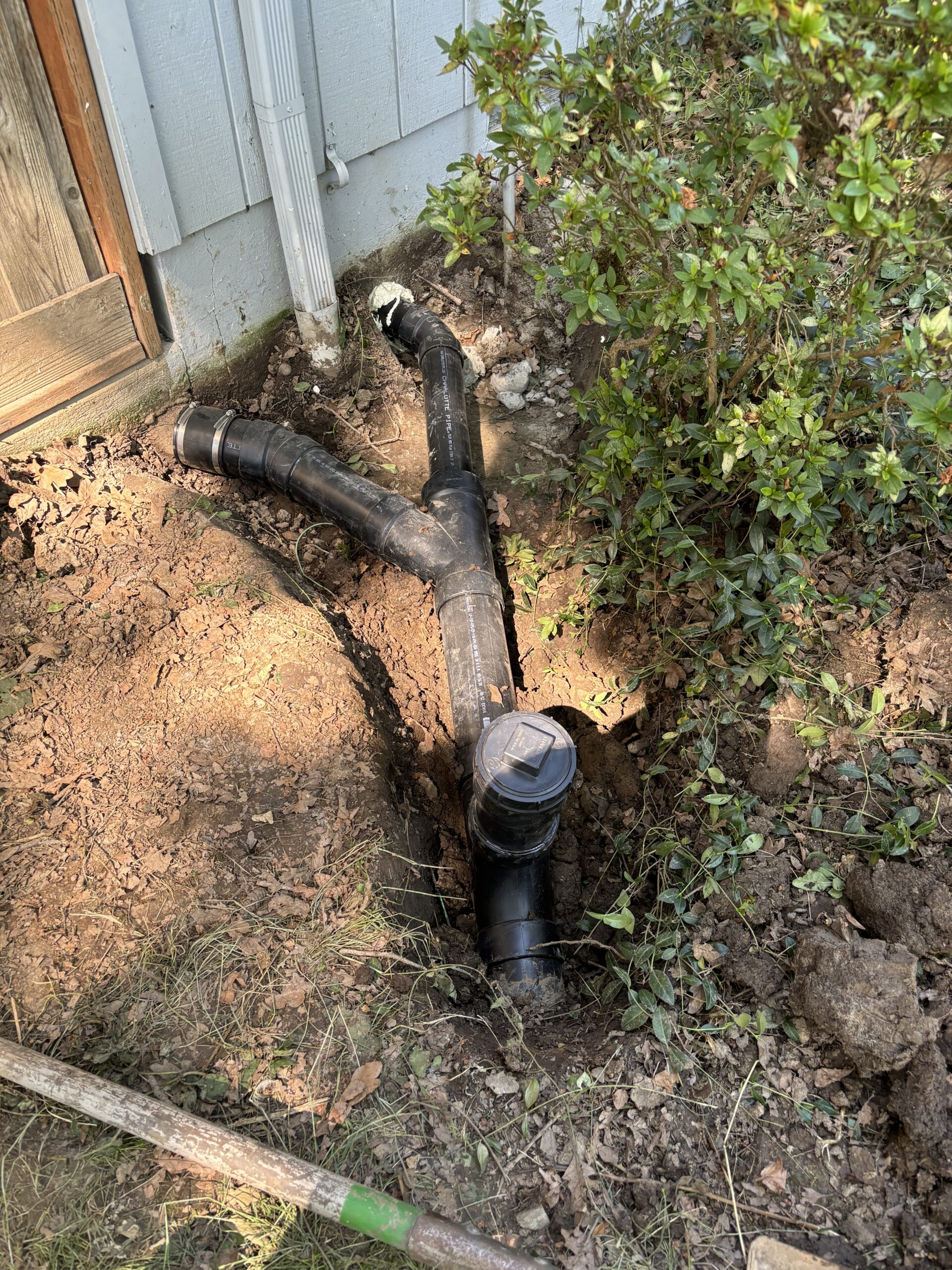 Exposed plumbing pipes with multiple joints are partially buried in soil beside a house, next to a shrub and a wooden door.